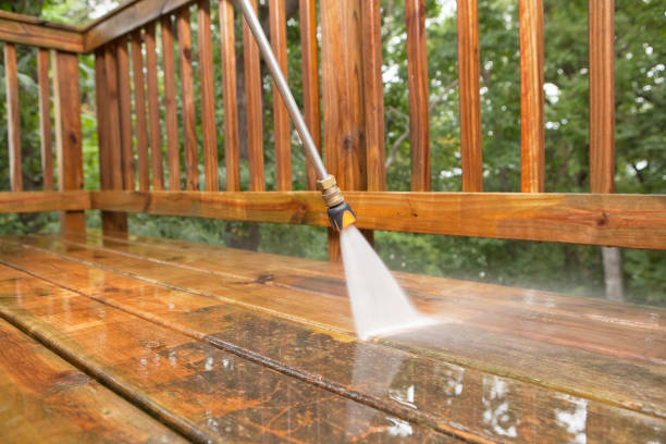 Best Roof Pressure Washing  in Nicholson, MS