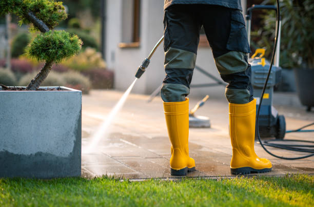 Best Power Washing Near Me  in Nicholson, MS